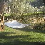 Ionian Breeze Frínion