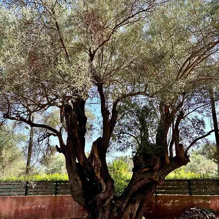 Ionian Breeze Frínion